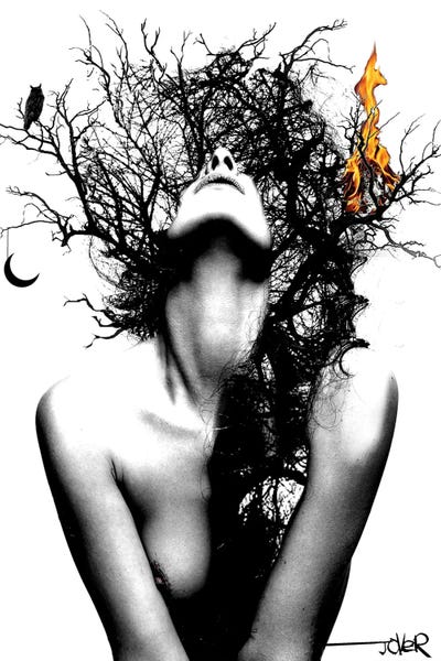 Surrealism: Wisdom And Fire by Loui Jover