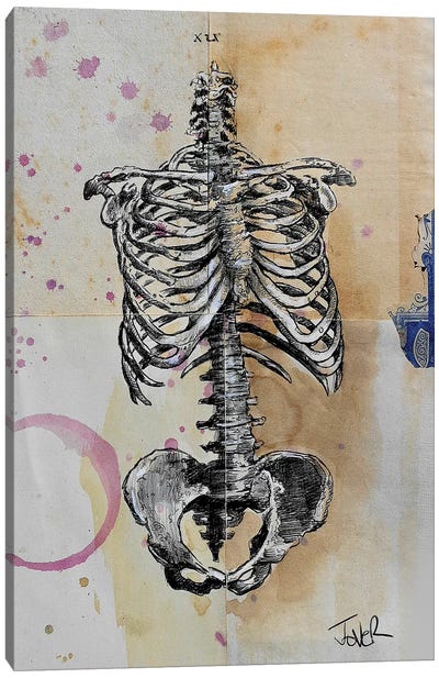 Cage Canvas Art Print - Skeleton Art