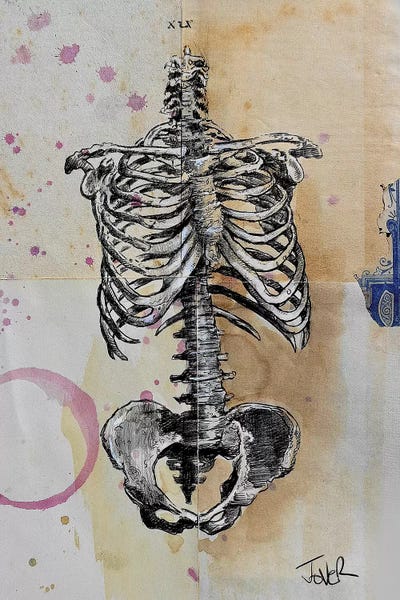 Skeletons: Cage by Loui Jover