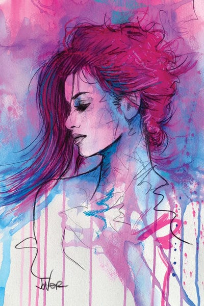 Cashmere by Loui Jover canvas print