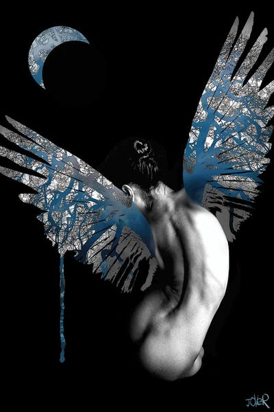 Loui Jover: Fly by Loui Jover