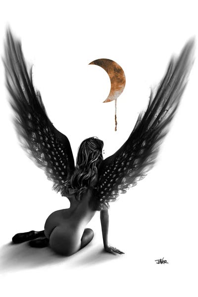 I Flew by Loui Jover framed canvas print