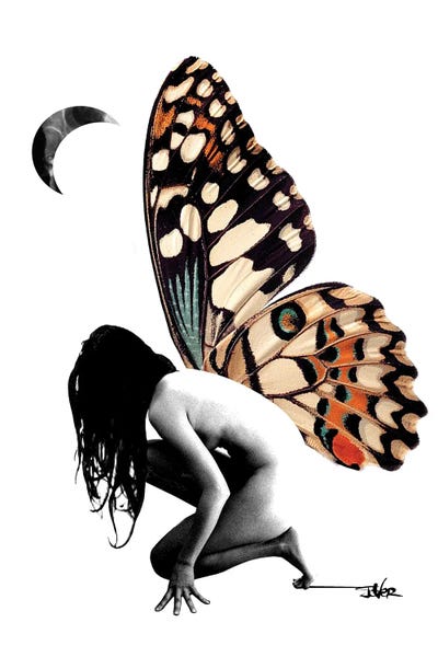 Metamorphosis by Loui Jover canvas print