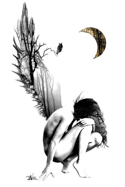 New Wings by Loui Jover framed canvas print