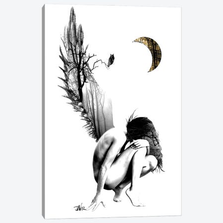 New Wings Canvas Print #LJR567} by Loui Jover Canvas Print