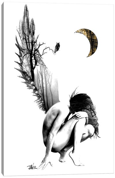 New Wings Canvas Art Print - Loui Jover