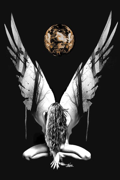 Black & White & Gold: Phoenix by Loui Jover