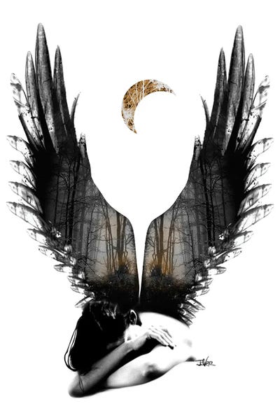 The Dream by Loui Jover framed canvas print