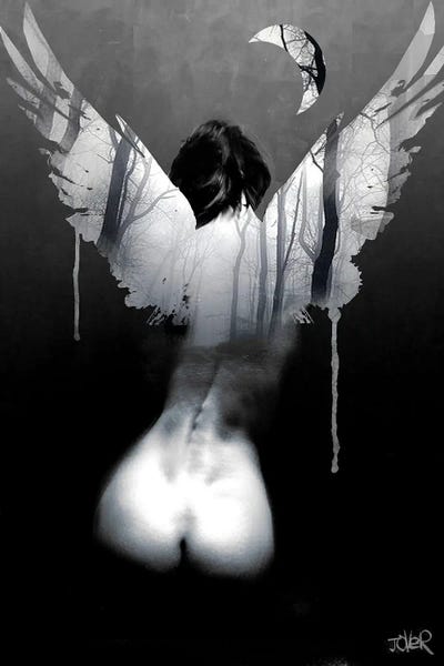 Where Only Some Darehires by Loui Jover canvas print