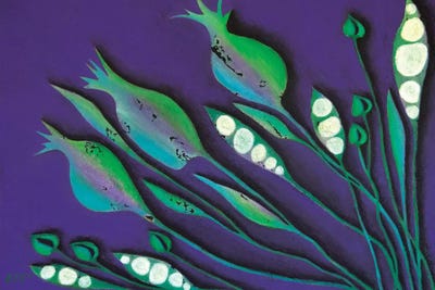 Seeds Of Life III by Lisa Frances Judd canvas print