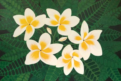 Frangipani Dreams by Lisa Frances Judd metal wall art