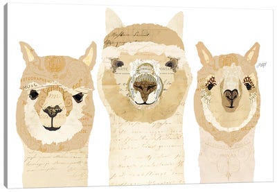 Alpacas Collage Canvas Art Print - Llama & Alpaca Art
