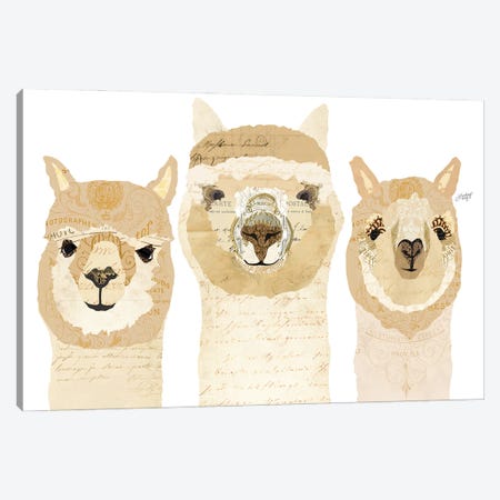 Alpacas Collage Canvas Print #LKC112} by LindseyKayCo Canvas Print