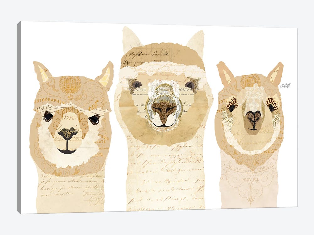 Alpacas Collage by LindseyKayCo 1-piece Canvas Wall Art