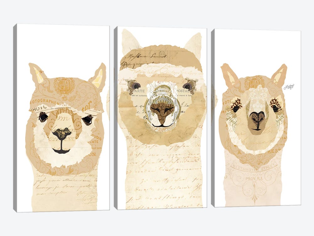Alpacas Collage by LindseyKayCo 3-piece Canvas Wall Art