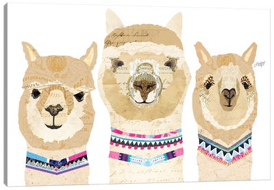 Alpacas Collage (Colorful Palette) Canvas Art Print - Llama & Alpaca Art