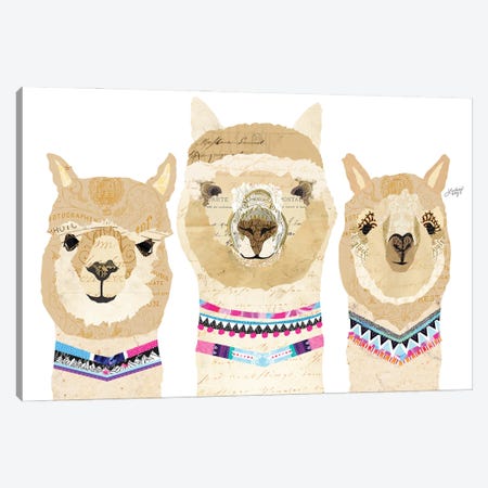Alpacas Collage (Colorful Palette) Canvas Print #LKC113} by LindseyKayCo Canvas Print