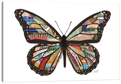 Colorful Butterfly Collage Canvas Art Print - LindseyKayCo