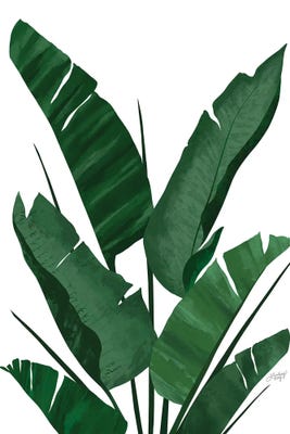 Banana Leaf Plant Collage I Canvas Artwork by LindseyKayCo | iCanvas