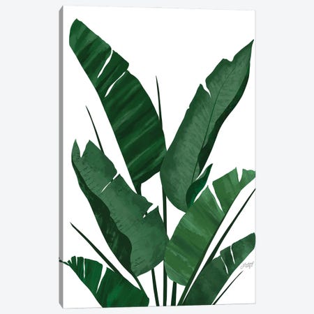 Banana Leaf Plant Collage I Canvas Print #LKC123} by LindseyKayCo Canvas Art
