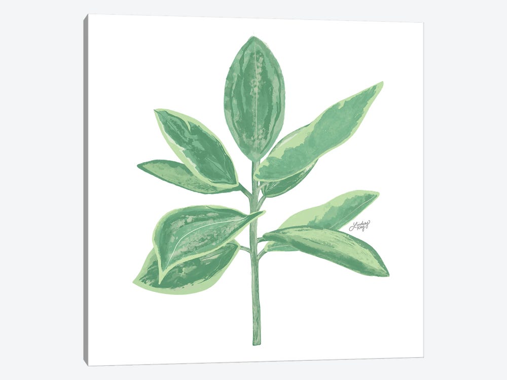 Green Plant by LindseyKayCo 1-piece Canvas Artwork
