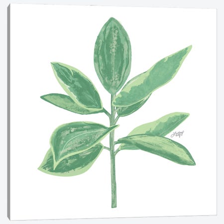 Green Plant Canvas Print #LKC143} by LindseyKayCo Canvas Artwork