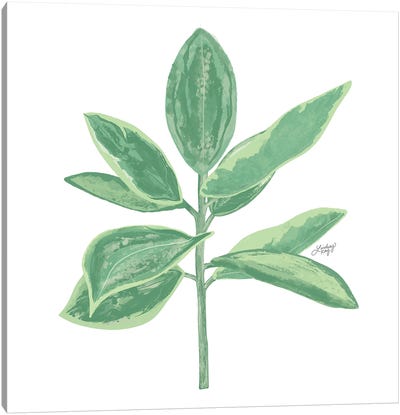 Green Plant Canvas Art Print - LindseyKayCo