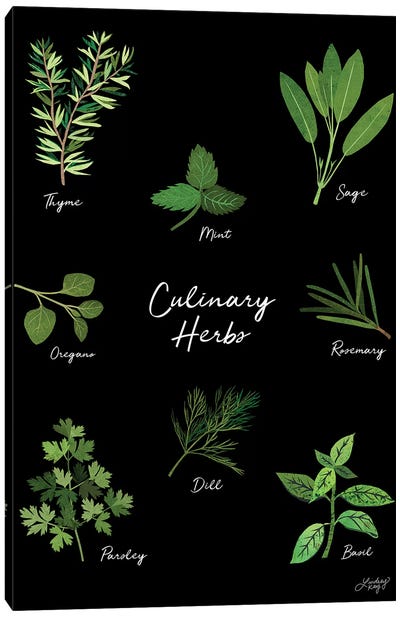 Culinary Herbs Black Canvas Art Print - Herb Art
