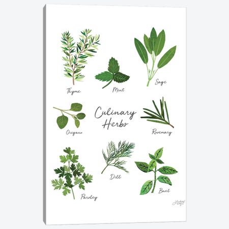 Culinary Herbs White Canvas Print #LKC15} by LindseyKayCo Canvas Artwork