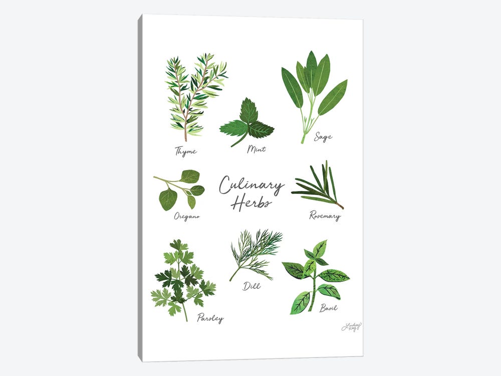Culinary Herbs White by LindseyKayCo 1-piece Canvas Art Print