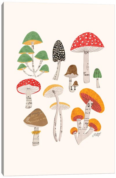 Mushrooms Canvas Art Print - LindseyKayCo