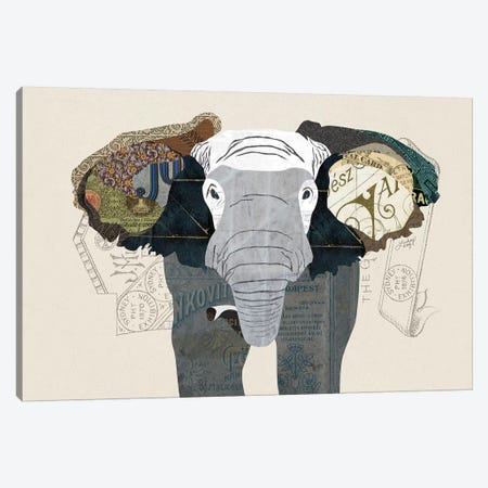 Elephant Collage Canvas Print #LKC25} by LindseyKayCo Canvas Print