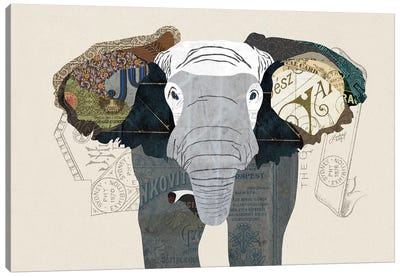 Elephant Collage Canvas Art Print