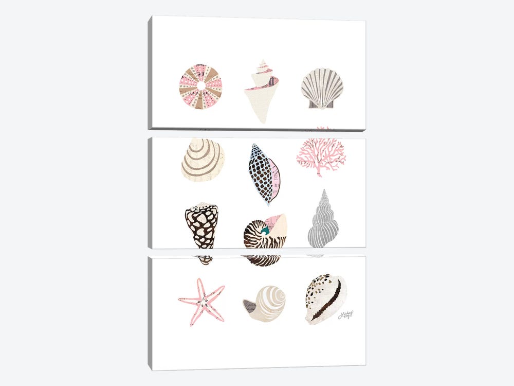 Seashell Collage by LindseyKayCo 3-piece Canvas Print