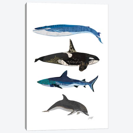 Sharks And Whales Collage Canvas Print #LKC72} by LindseyKayCo Art Print