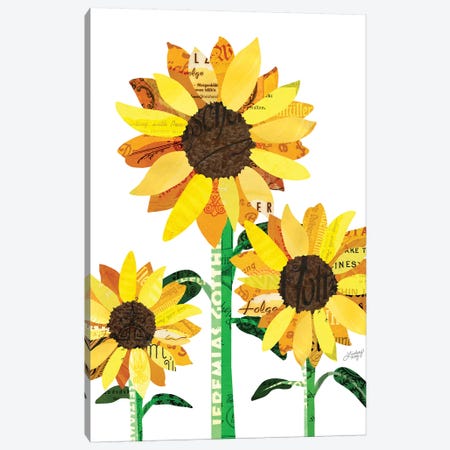 Sunflower Collage Canvas Print #LKC78} by LindseyKayCo Art Print