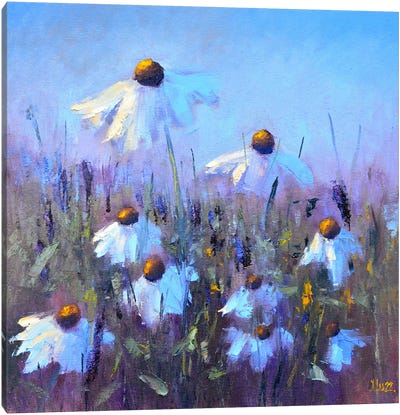 Field Daisies Canvas Art Print - Daisy Art