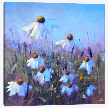 Field Daisies Canvas Print #LKL11} by Elena Lukina Canvas Art