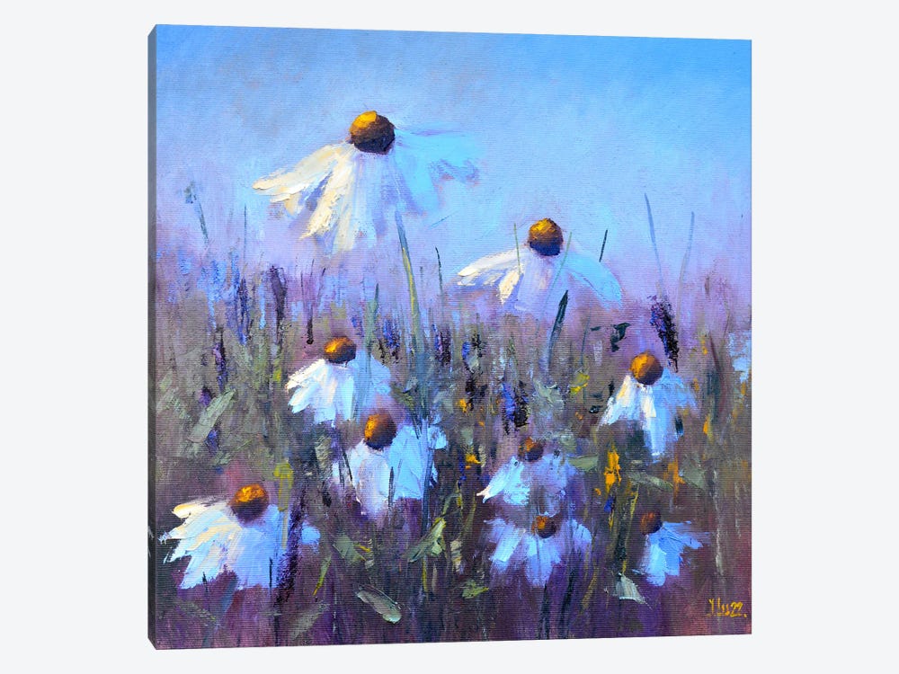 Field Daisies by Elena Lukina 1-piece Canvas Print
