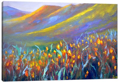 Field Of Wild Tulips Canvas Art Print - Elena Lukina