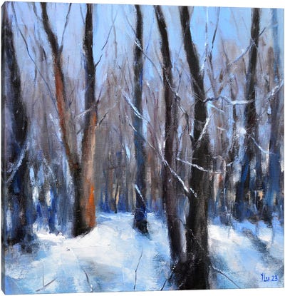 Forest In January Days Canvas Art Print - Elena Lukina