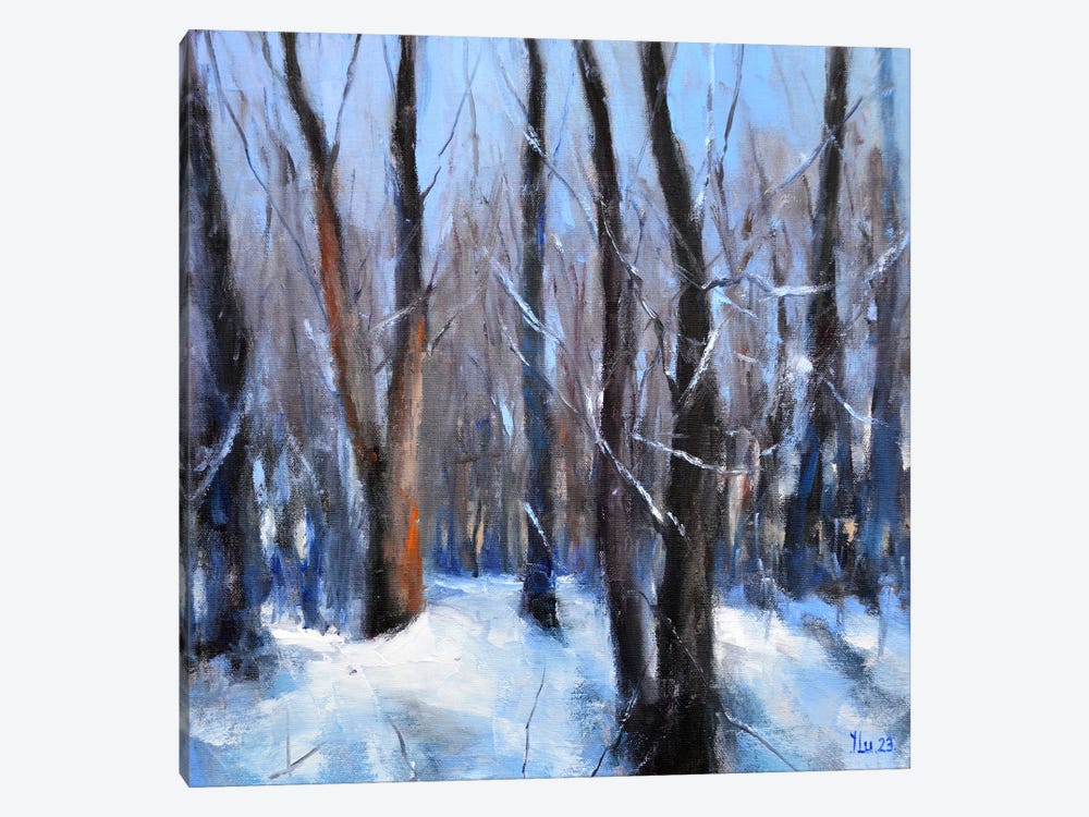 Forest In January Days by Elena Lukina 1-piece Canvas Wall Art