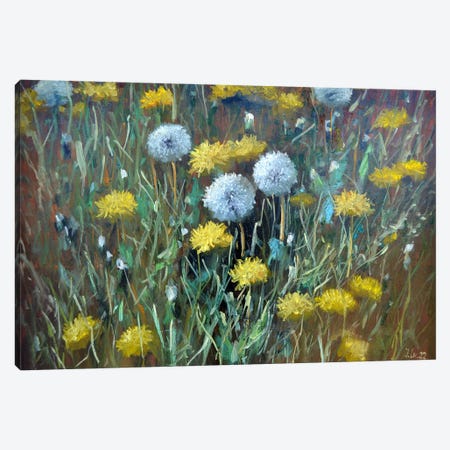 Fragment Of A Lawn Of Dandelions Canvas Print #LKL18} by Elena Lukina Canvas Art