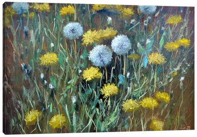 Fragment Of A Lawn Of Dandelions Canvas Art Print - Elena Lukina