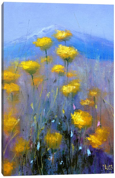 Gentle Mountain Meadow Canvas Art Print - Elena Lukina