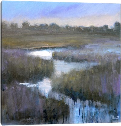 After The Snow Canvas Art Print - Marsh & Swamp Art