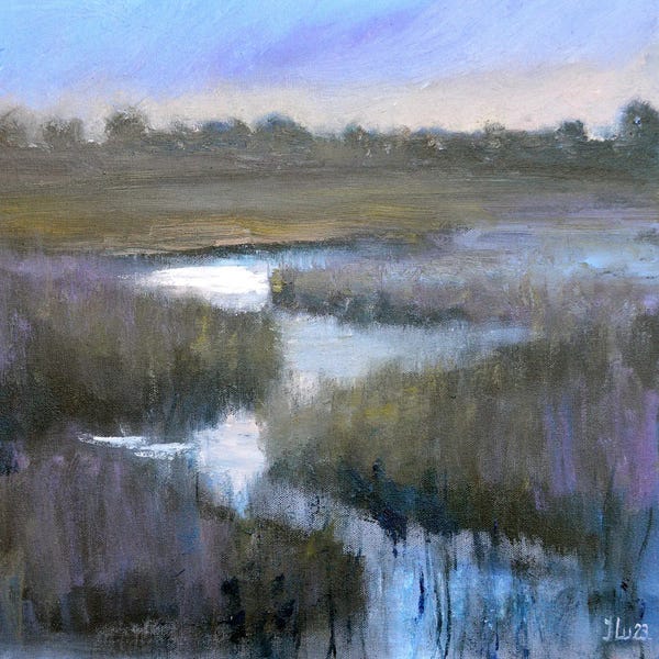 Marshes & Swamps: After The Snow by Elena Lukina