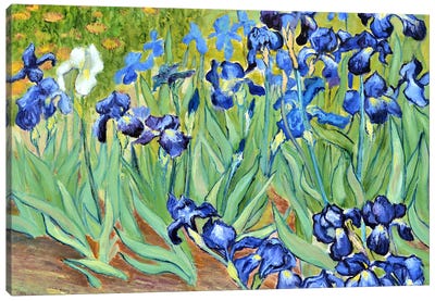 Irises Inspired By Van Gogh Canvas Art Print - Elena Lukina