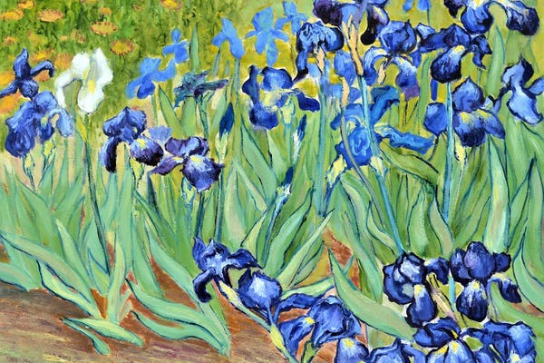 Irises: Irises Inspired By Van Gogh by Elena Lukina
