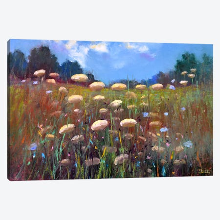 Landscape With Meadow Canvas Print #LKL24} by Elena Lukina Canvas Art